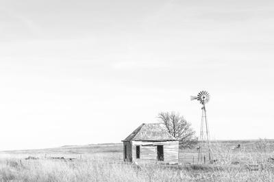 Photographic Print, , small