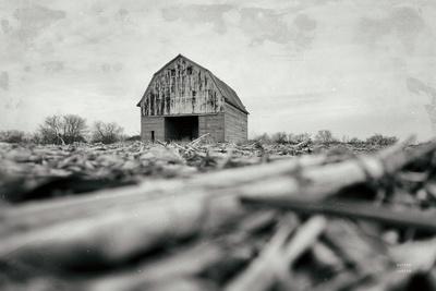 Photographic Print, , small