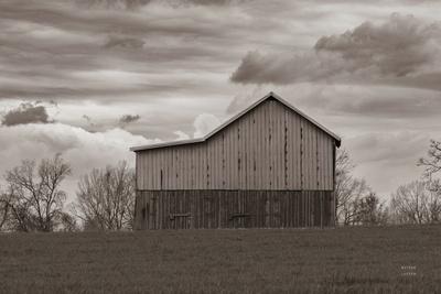 Photographic Print, , small