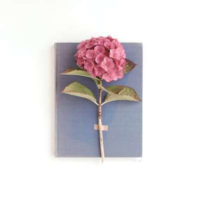 Photographic Print, , small