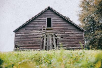 Photographic Print, , small