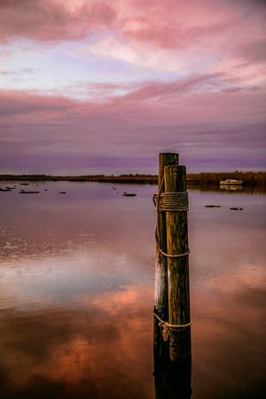 Photographic Print, , small