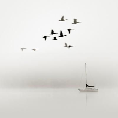 Photographic Print, , small