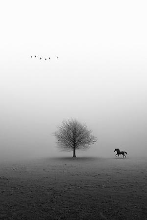 Photographic Print, , small