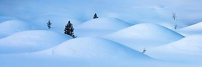 Photographic Print, , small