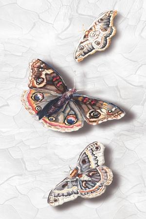 Art Print, , small