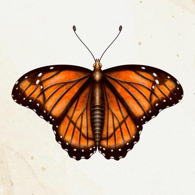 Art Print, , small