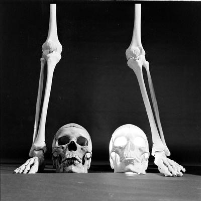 Photographic Print, , small