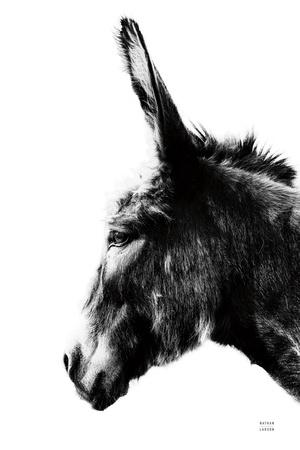 Photographic Print, , small