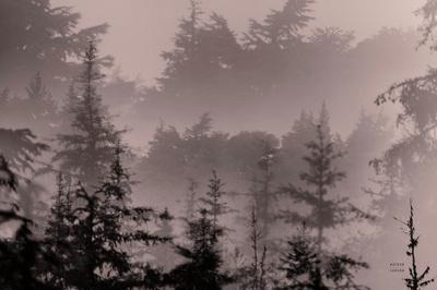 Photographic Print, , small