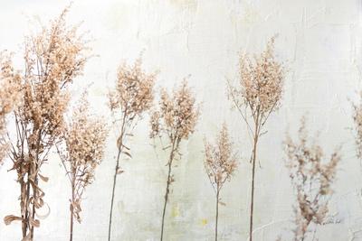 Photographic Print, , small