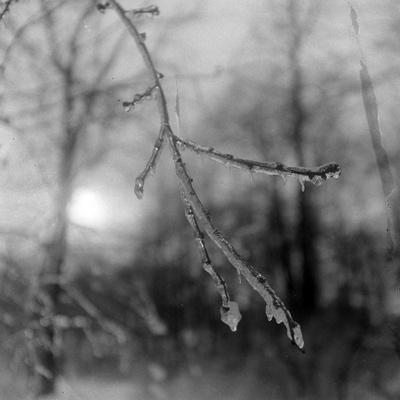 Photographic Print, , small
