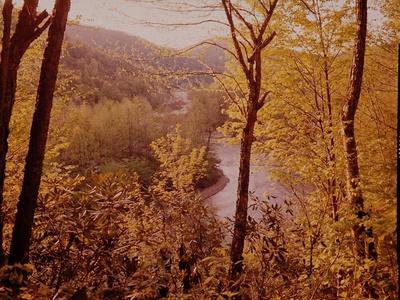 Photographic Print, , small