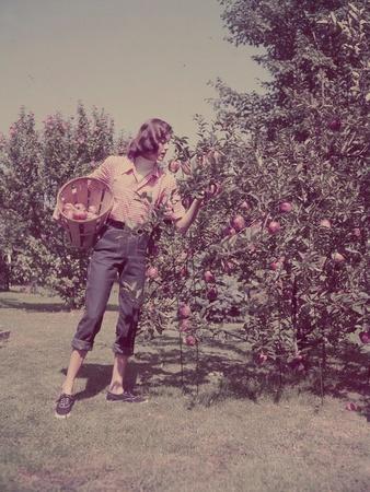 Photographic Print, , small