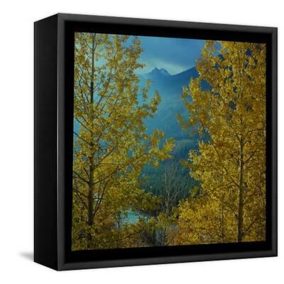 Stretched Canvas Print, , small
