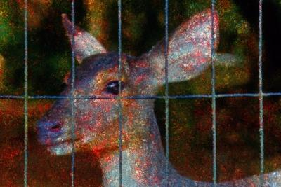 Photographic Print, , small