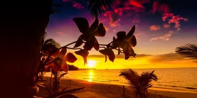 Photographic Print, , small