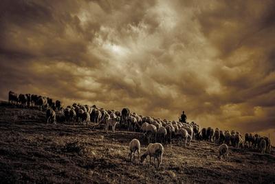 Photographic Print, , small