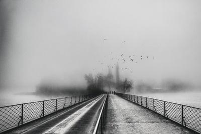 Photographic Print, , small
