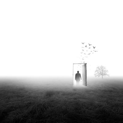 Photographic Print, , small