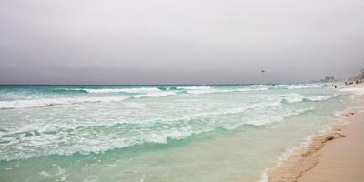 Photographic Print, , small