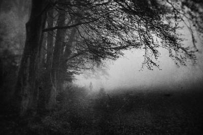 Photographic Print, , small