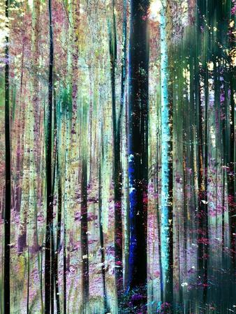 Giclee Print, , small