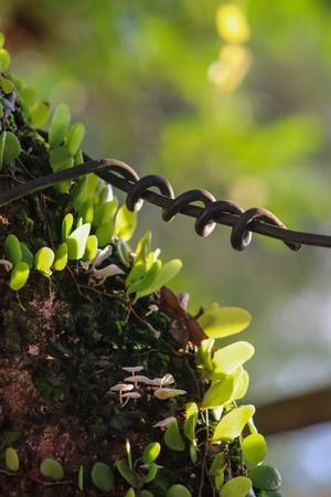Photographic Print, , small