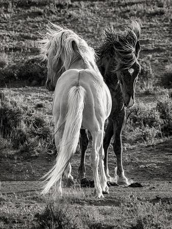Art Print, , small