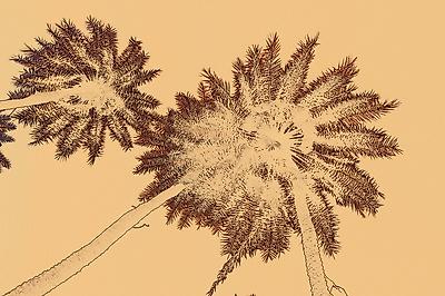 Photographic Print, , small