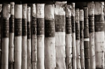 Photographic Print, , small