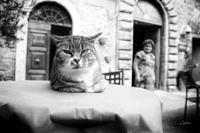 Photographic Print, , small