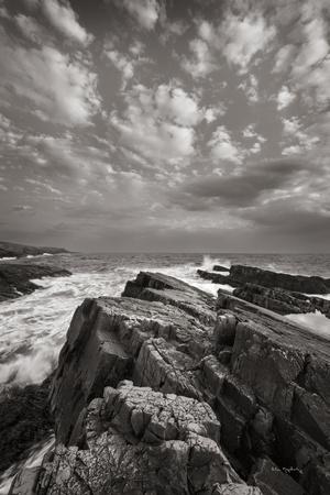 Photographic Print, , small