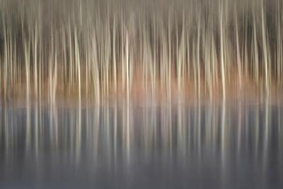 Photographic Print, , small