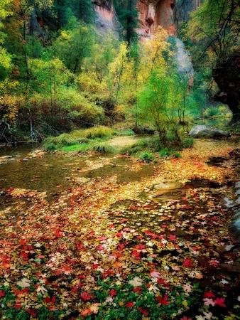 Photographic Print, , small
