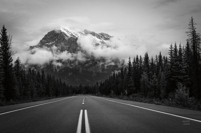 Photographic Print, , small