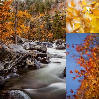 Photographic Print, , small