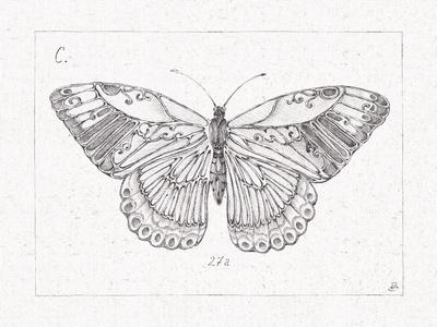 Art Print, , small