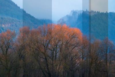 Photographic Print, , small