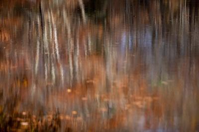 Photographic Print, , small