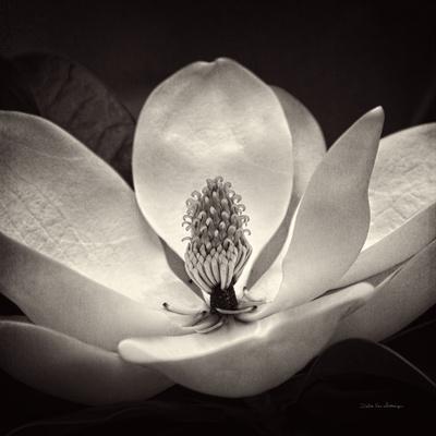 Photographic Print, , small