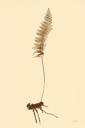 Photographic Print, , small