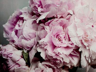Premium Photographic Print, , small