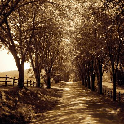 Premium Photographic Print, , small