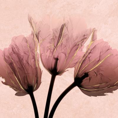 Premium Photographic Print, , small