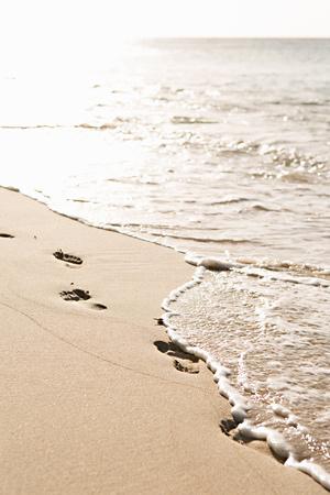 Premium Photographic Print, , small