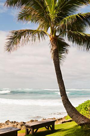 Premium Photographic Print, , small