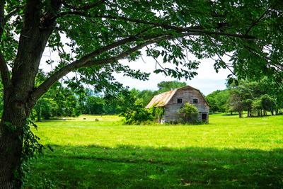 Premium Photographic Print, , small