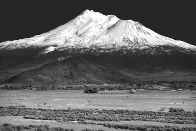 Premium Photographic Print, , small