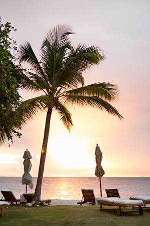 Premium Photographic Print, , small